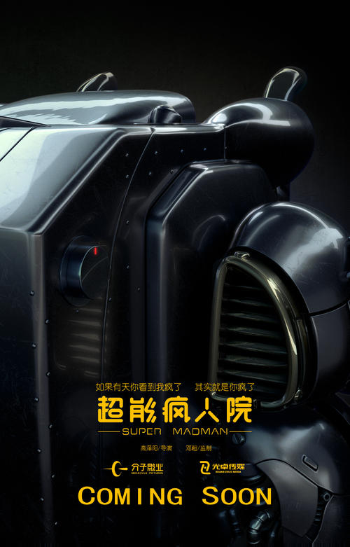 法兰克福财经管理大学商业管理文凭证书